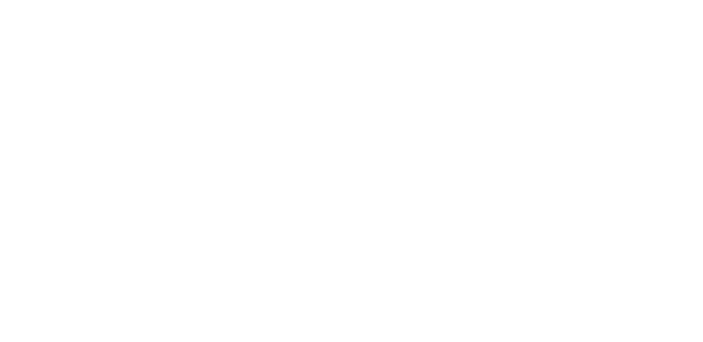 Virtus Therapy